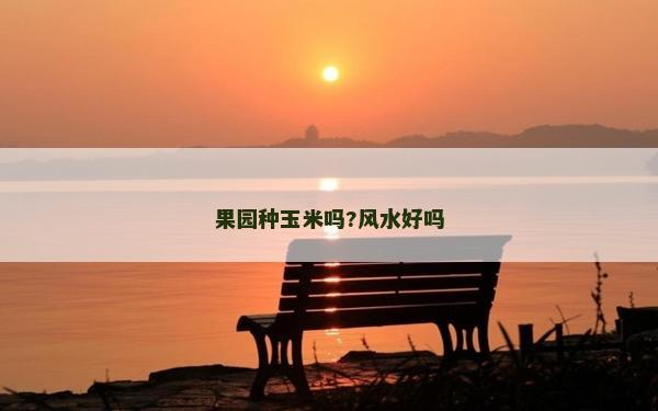 果园种玉米吗?风水好吗