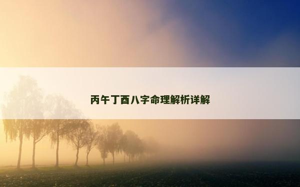 丙午丁酉八字命理解析详解
