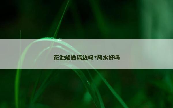 花池能做墙边吗?风水好吗