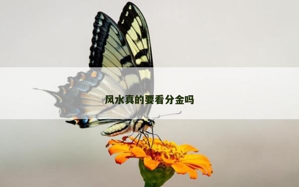 风水真的要看分金吗