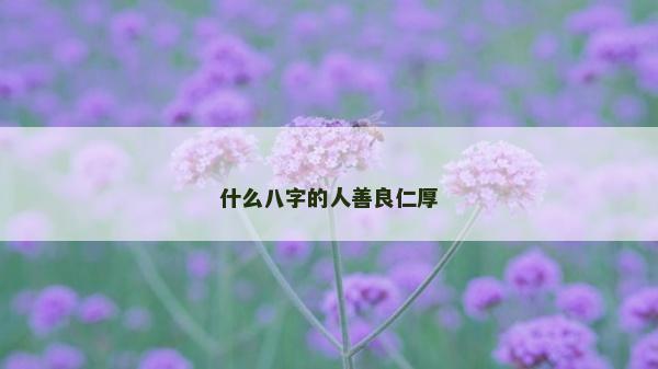 什么八字的人善良仁厚