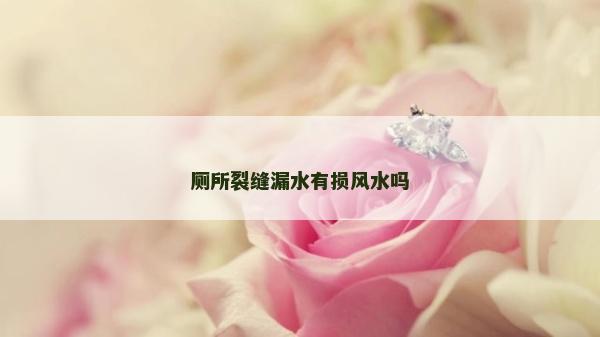 厕所裂缝漏水有损风水吗