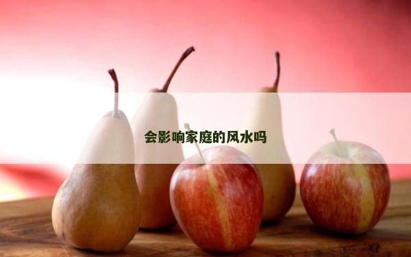 会影响家庭的风水吗