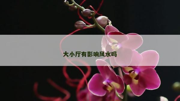 大小厅有影响风水吗