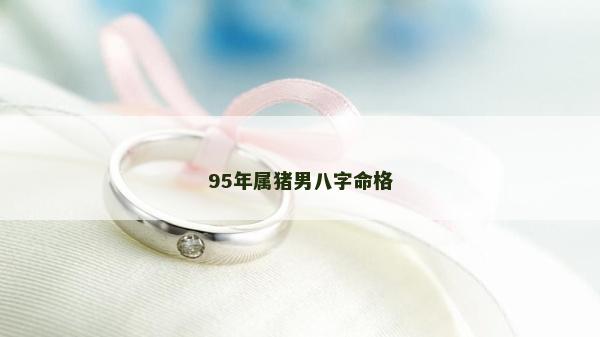 95年属猪男八字命格