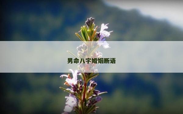 男命八字婚姻断语