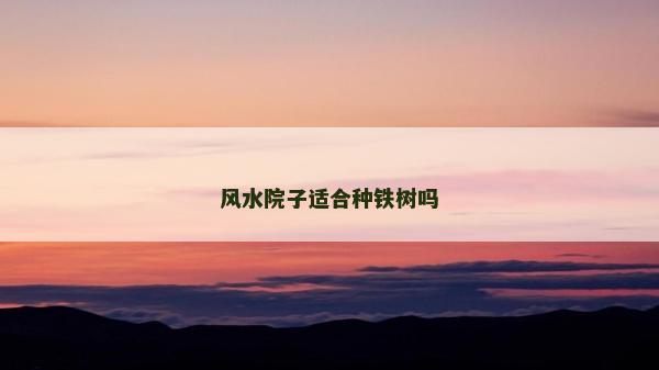 风水院子适合种铁树吗