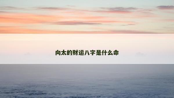 向太的财运八字是什么命