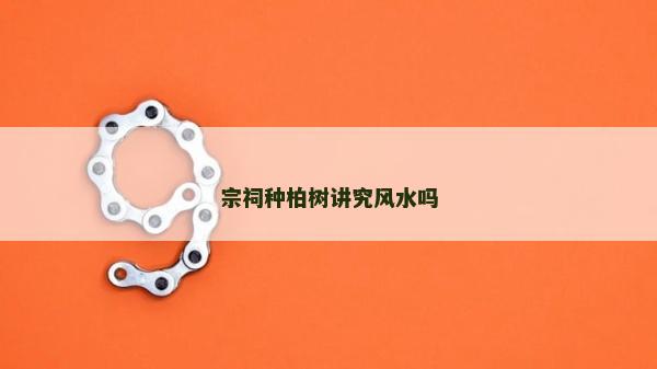 宗祠种柏树讲究风水吗