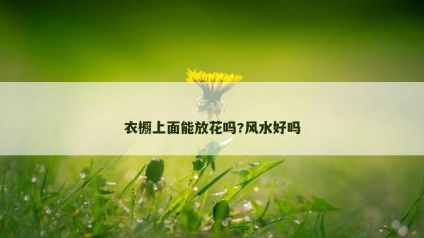 衣橱上面能放花吗?风水好吗