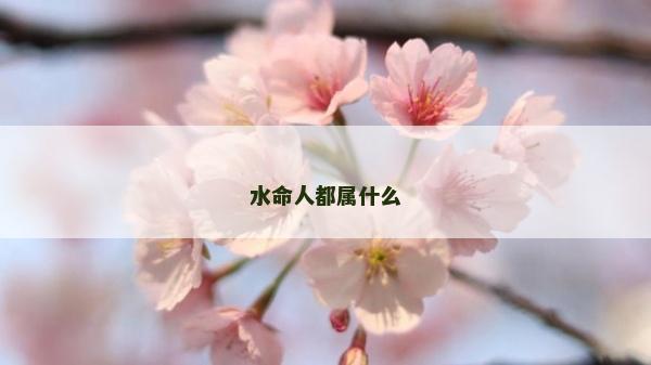 水命人都属什么
