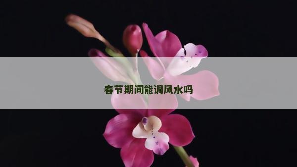 春节期间能调风水吗