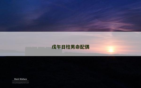 戊午日柱男命配偶