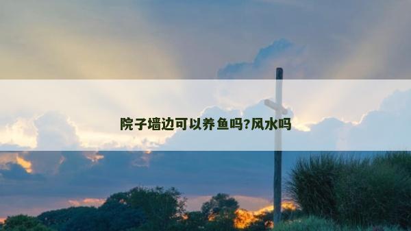院子墙边可以养鱼吗?风水吗