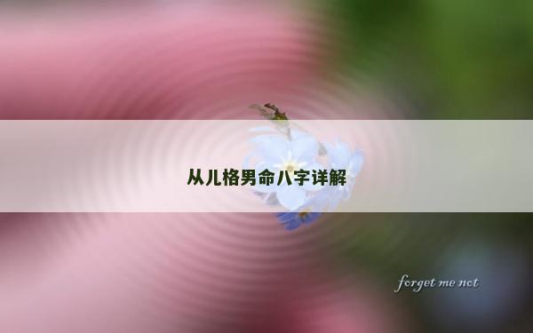 从儿格男命八字详解