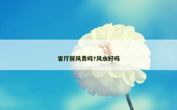 客厅屏风贵吗?风水好吗