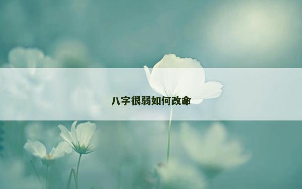 八字很弱如何改命