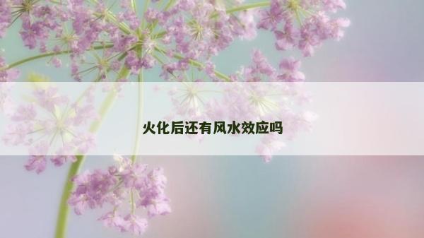 火化后还有风水效应吗
