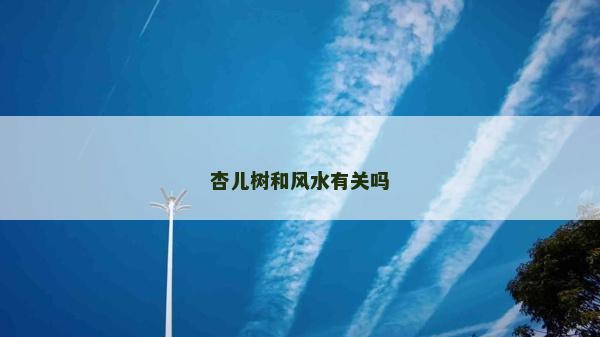 杏儿树和风水有关吗