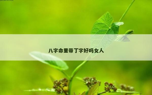 八字命里带丁字好吗女人