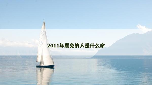 2011年属兔的人是什么命