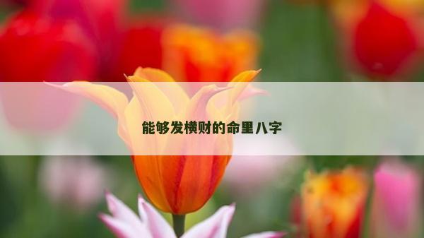 能够发横财的命里八字