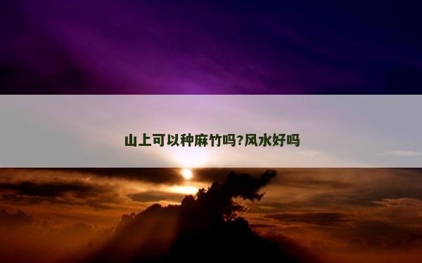 山上可以种麻竹吗?风水好吗