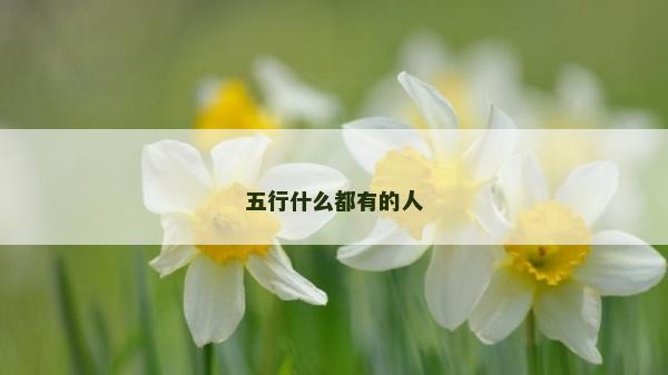五行什么都有的人