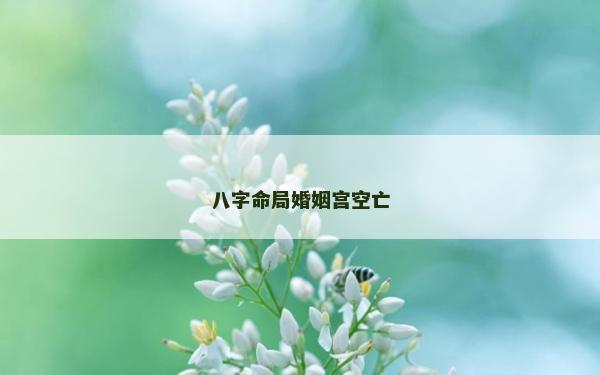 八字命局婚姻宫空亡