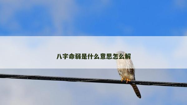 八字命弱是什么意思怎么解