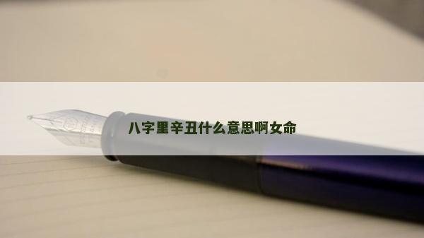 八字里辛丑什么意思啊女命