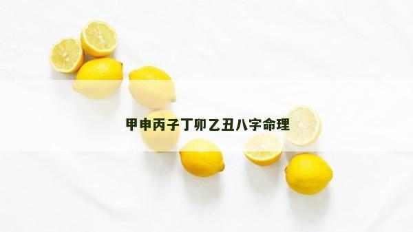 甲申丙子丁卯乙丑八字命理