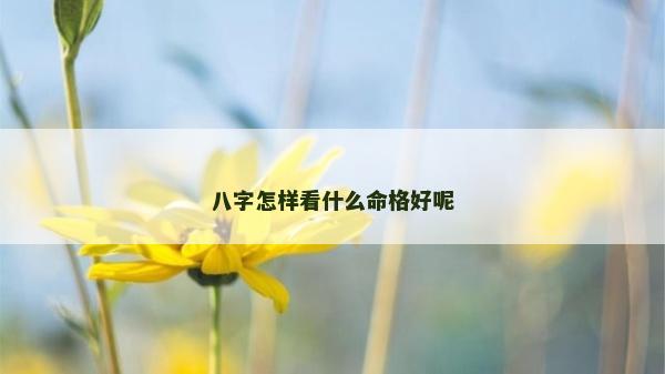 八字怎样看什么命格好呢