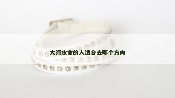 大海水命的人适合去哪个方向
