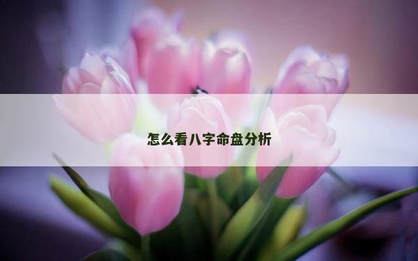 怎么看八字命盘分析