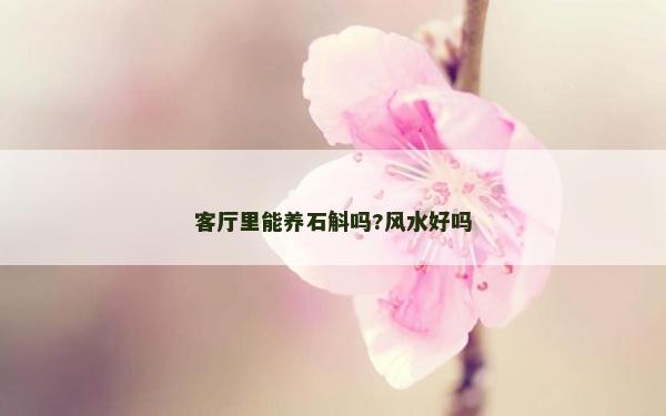 客厅里能养石斛吗?风水好吗