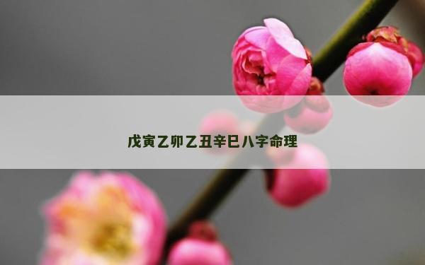 戊寅乙卯乙丑辛巳八字命理