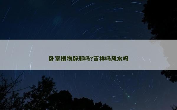卧室植物辟邪吗?吉祥吗风水吗