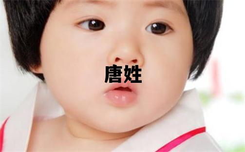 唐姓有灵气的男孩名字,取什么名字好