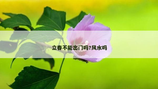 立春不能出门吗?风水吗