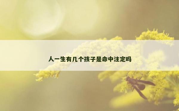 人一生有几个孩子是命中注定吗