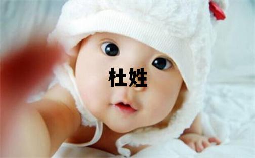 杜姓取名有气质的男宝宝名字