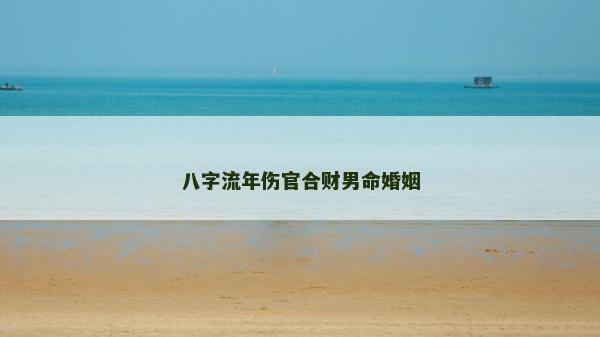 八字流年伤官合财男命婚姻