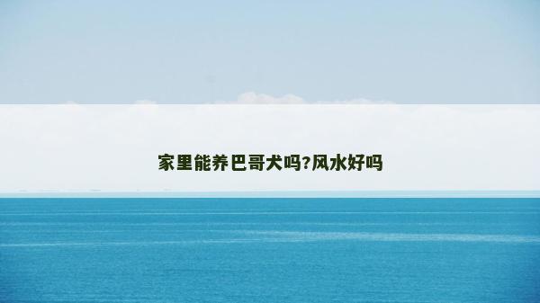 家里能养巴哥犬吗?风水好吗