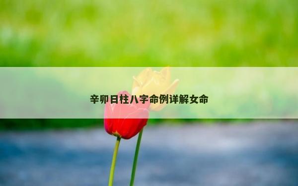 辛卯日柱八字命例详解女命
