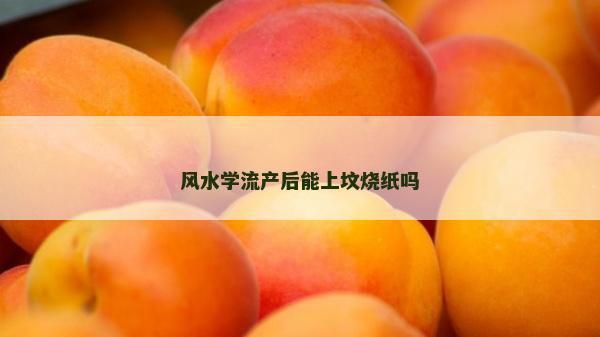 风水学流产后能上坟烧纸吗