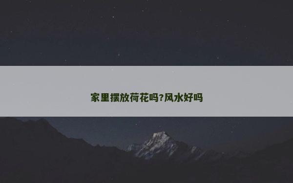 家里摆放荷花吗?风水好吗