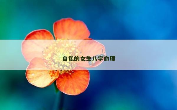 自私的女生八字命理