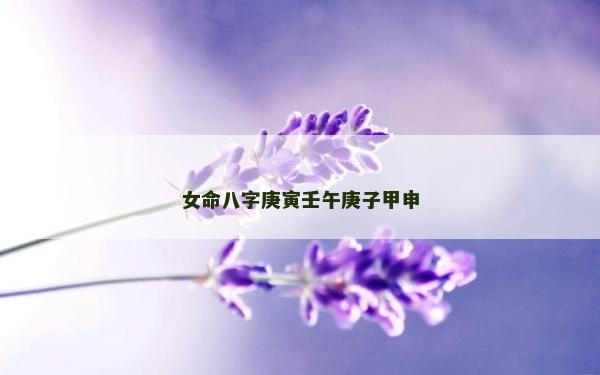 女命八字庚寅壬午庚子甲申