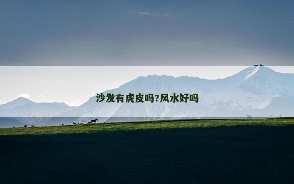 沙发有虎皮吗?风水好吗
